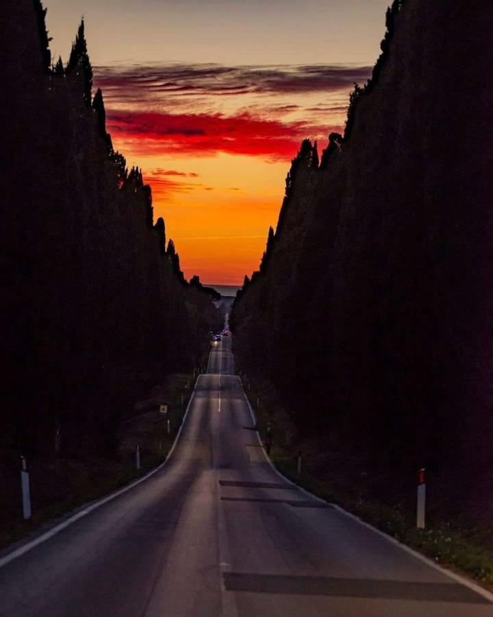 Suite Eleven Castiglioncello Dış mekan fotoğraf