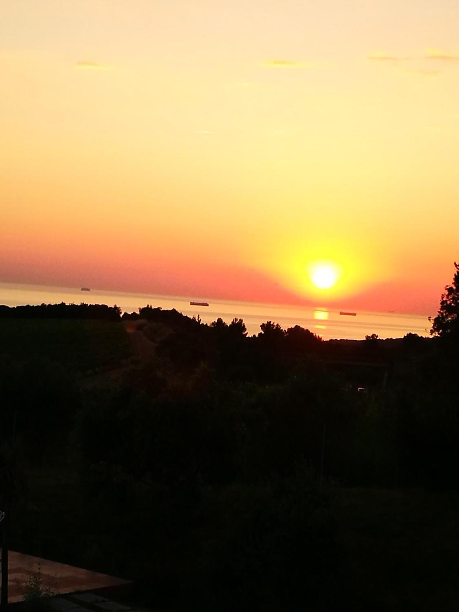 Suite Eleven Castiglioncello Dış mekan fotoğraf