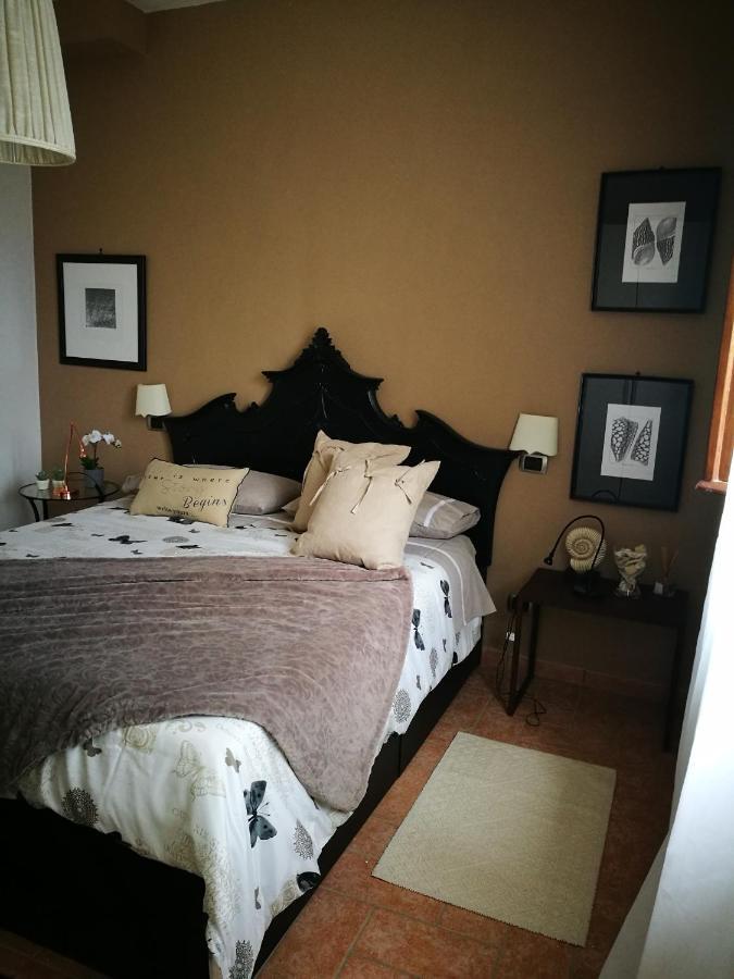 Suite Eleven Castiglioncello Dış mekan fotoğraf